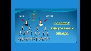 Золотой треугольник бинара, что это?