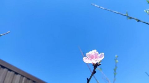 "Борьба с поберухой"-эта фраза затмевает разум людей?!🤔Деревенский дневник.