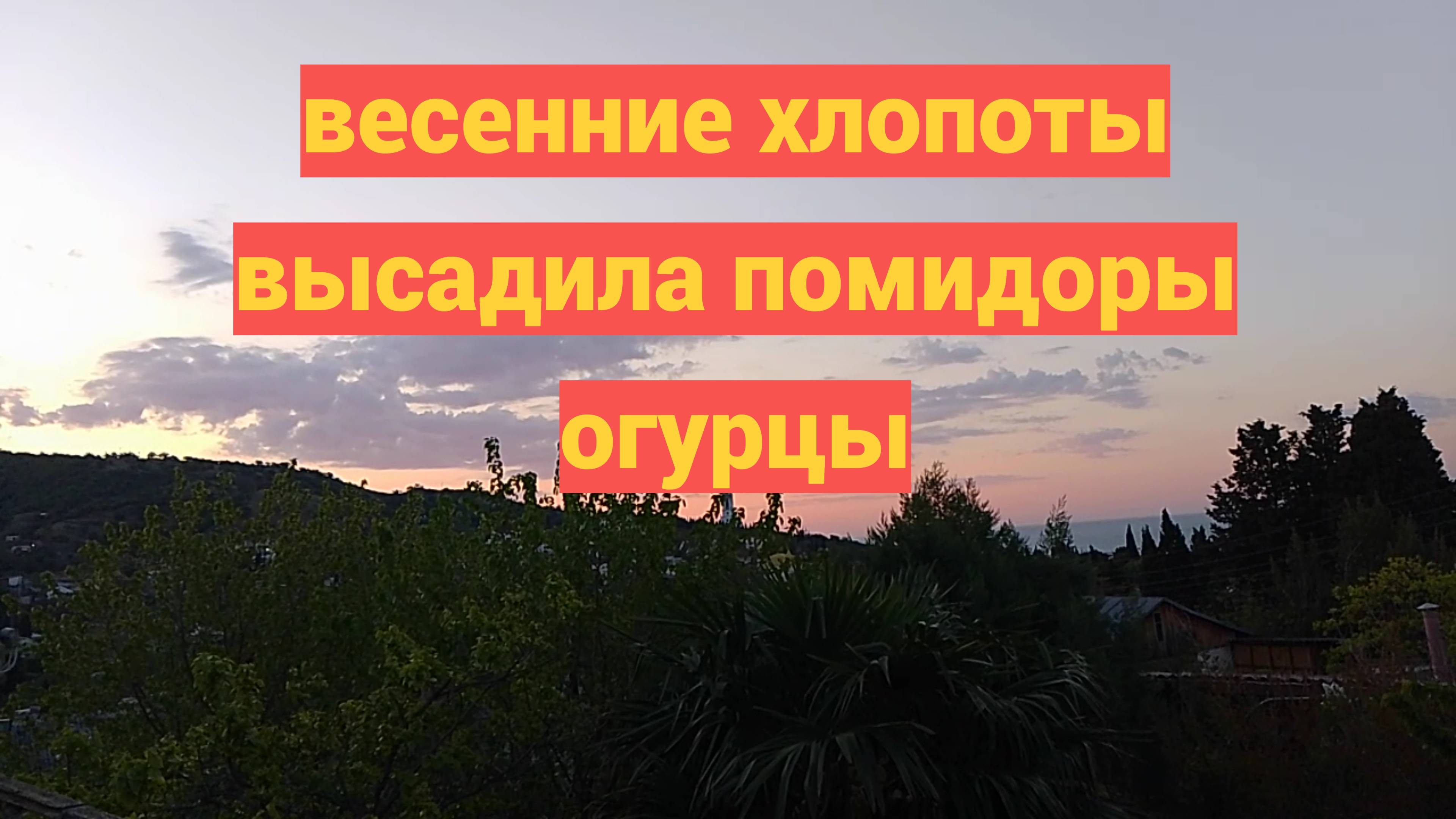 № 831 Весенние хлопоты // посадила помидоры огурцы