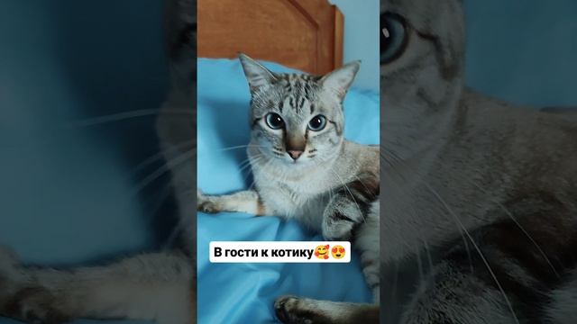 В гостях у котика 😘