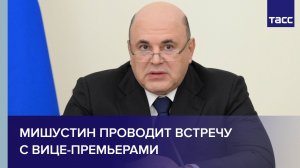 Мишустин проводит встречу с вице-премьерами