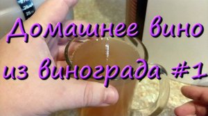 Домашнее Вино Из Винограда Изабелла Простой Рецепт #1