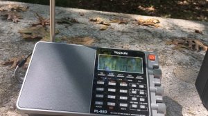 Tecsun S-8800 VS Tecsun PL-880 FM Sound