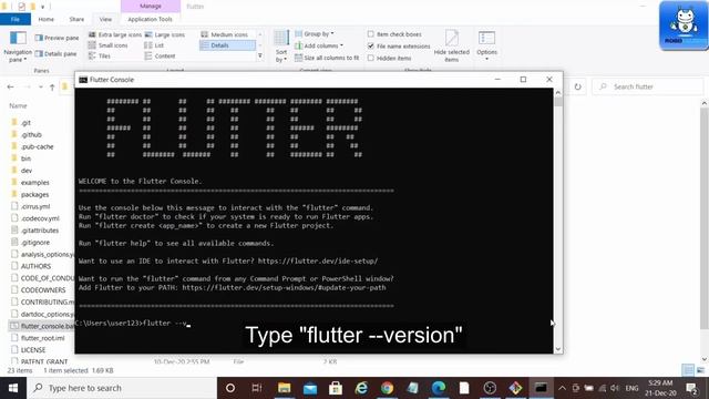 How to Install Flutter SDK смотреть онлайн