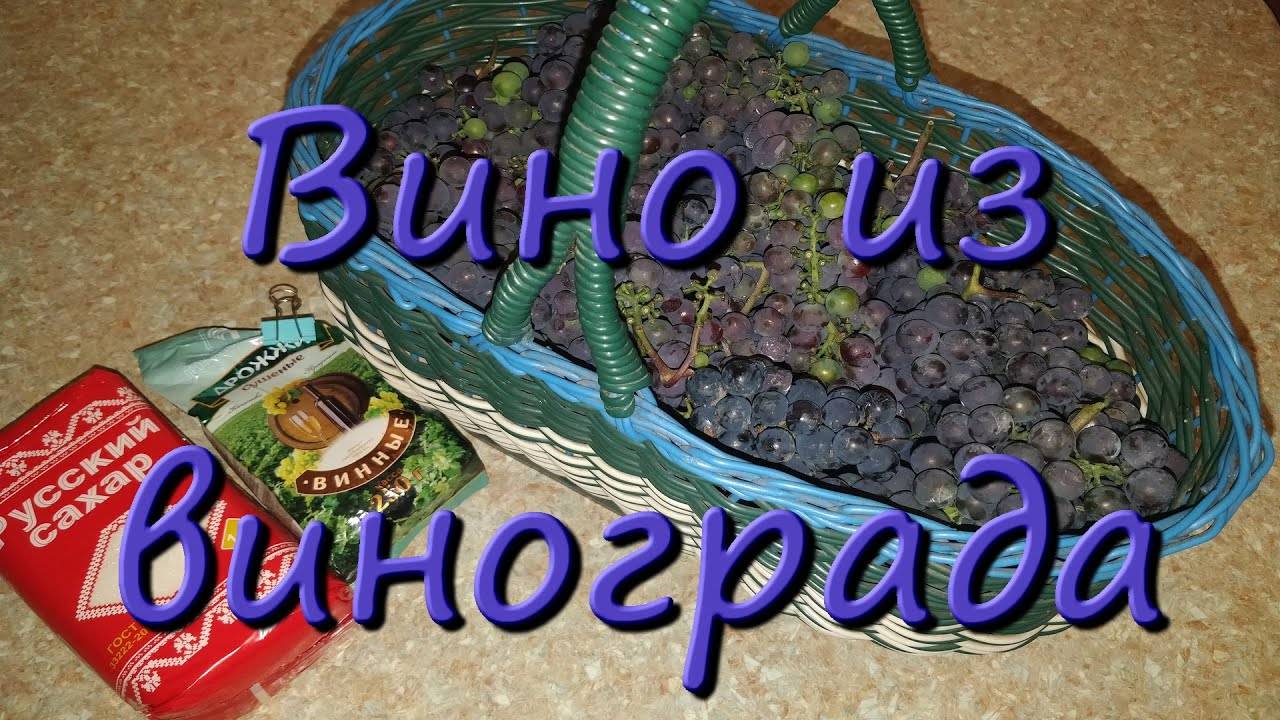 Домашнее Вино Из Винограда Вино Из Винограда Изабелла Пошаговый Рецепт