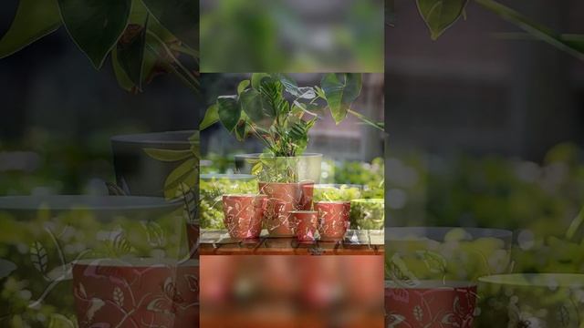 Горщики для квітів 3D з метеликами 🦋 для створення неповторної краси та натхнення! 🌺✨