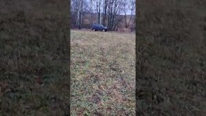 Сайга 12С +удлинитель ствола