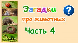 ЗАГАДКИ ПРО ЖИВОТНЫХ - Часть 4 | Загадки для детей