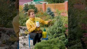 ТЕНЕЧЕК - средство защиты растений