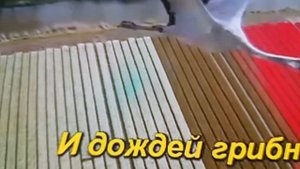 Расскажите птицы...времечко пришло.