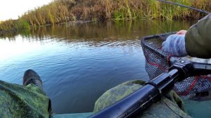 Приехали за щукой а поймали окуня .. Ловля на спиннинг с друзьями Бердия 2024