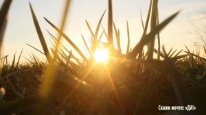 Аффирмации -  Я иду своим путем к лучшему