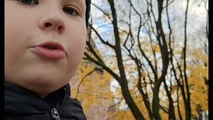 Красивый вид