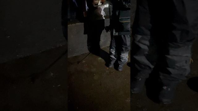 Что КЛЮЁТ НОЧЬЮ В НОРВЕГИИ????