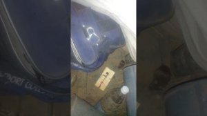 Мышь попалась в мышеловку!