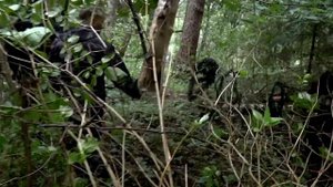 СТАРОЕ КЛАДБИЩЕ ДЕРЕВНИ ТИДВОРЬЕ