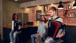 Avicii - Levels, Wake Me Up (Accordion cover by 2MAKERS)