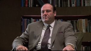 Are you in the Mafia × Gangsta Paradise || Tony Soprano Edits || The Sopranos Edits