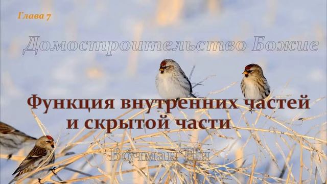 "Домостроительство Божие" Уитнесс Ли глава 7