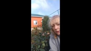 обрезка роз осенью