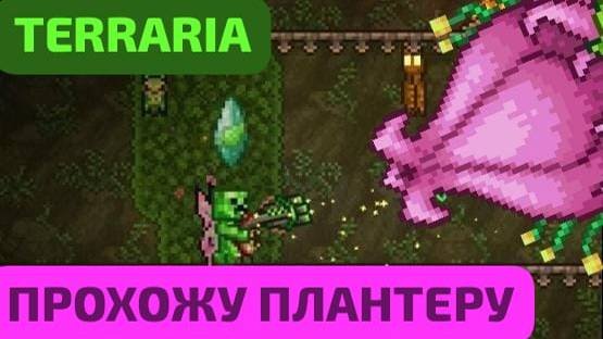 Terraria|Прохожу Плантеру|Гайд