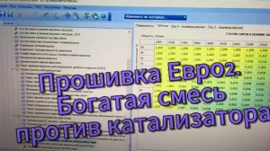 Прошивка Евро2 Богатая смесь и Катализатор