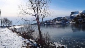 Lofoten Islands hikes❄️ New family member 🐩 - Vlog