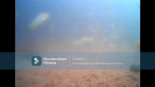 БГЭС.Устье р.Базыр.Елец.Шарыповский район.Просто подводная сьемка смотреть онлайн