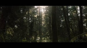 Пробуждение - Аманда Линдси Кук