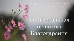 Универсальная практика Благодарения