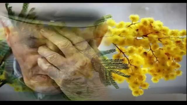 ДУШЕВНЫЕ  РАССКАЗЫ❤️ЗЭКА❤️БЫВШАЯ❤️МНЕ БЕЗ ТЕБЯ ТАК ОДИНОКО❤️Я И ЕЩЁ РАЗ Я❤️ТЮЛЬПАНЫ#TEFI РАССКАЗЫ