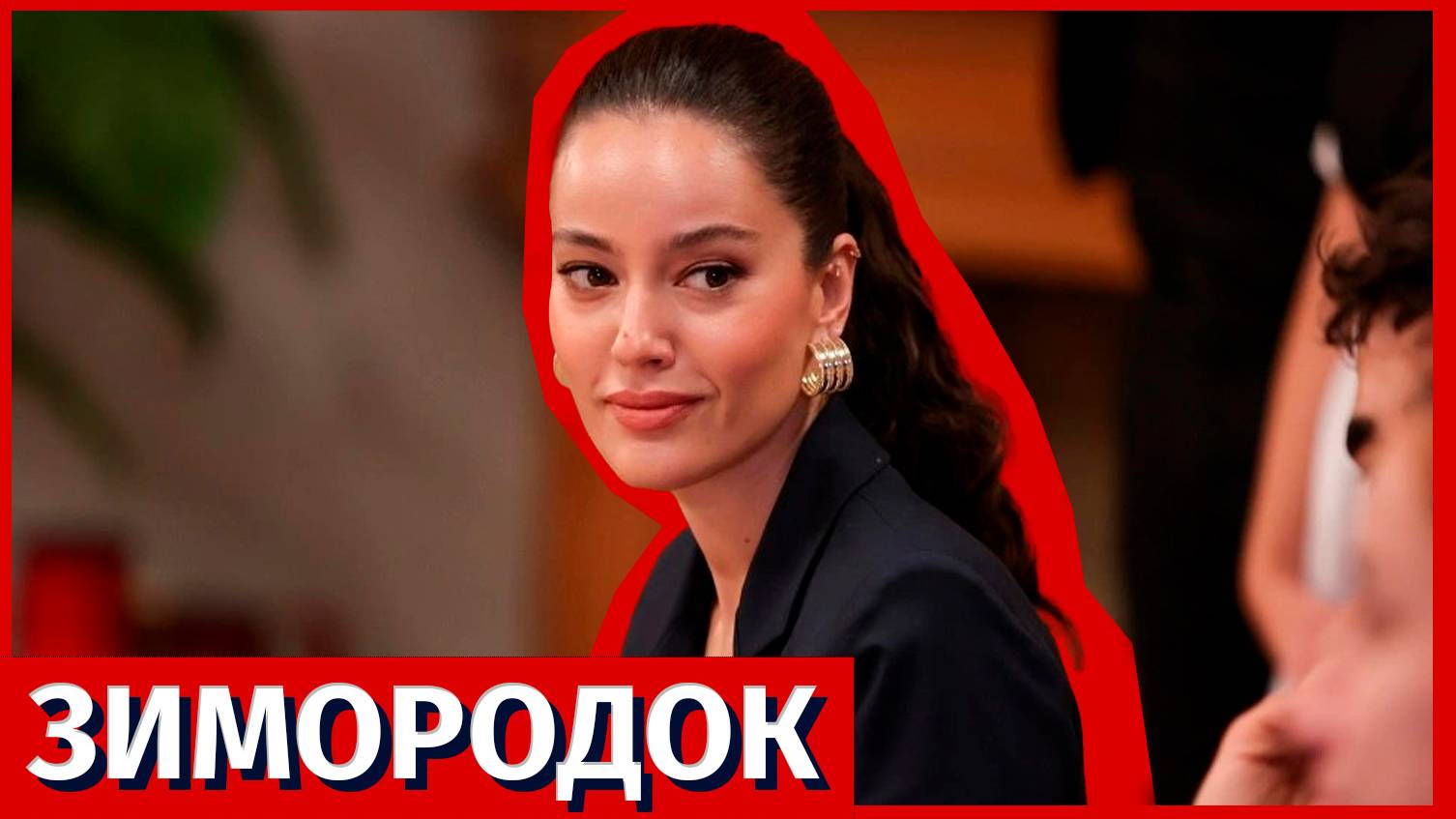 Зимородок 80 серия (3 сезон 7 серия) - Пора разыграть самую серьезную карту!