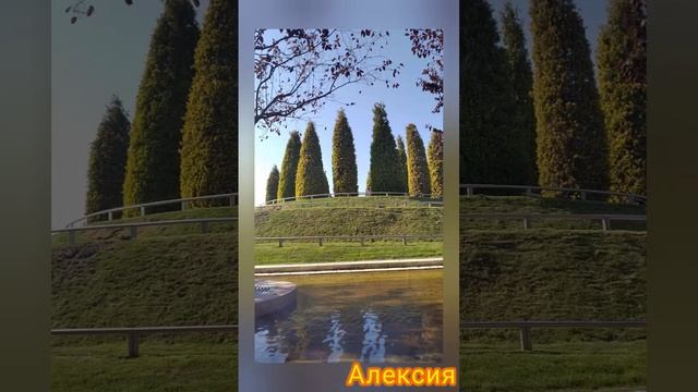 Парк Краснодар. У воды.
