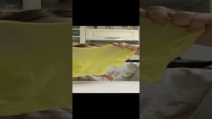VID_20241011_180519.mp4