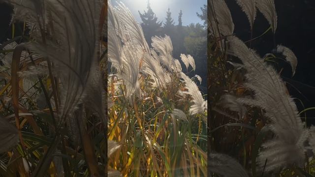 Мама отвечает за отношения и проявленность в мире смотреть онлайн