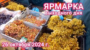 Краснодар - Ярмарка выходного дня на ул. Одесская - цены на продукты - 26 октября 2024 г