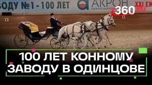 Московскому конному заводу №1 в Одинцове исполнилось 100 лет