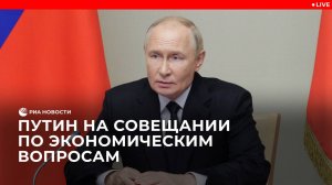 Путин на совещании по экономическим вопросам