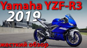 Yamaha YZF-R3 2019/ Сможет ли он одолеть KTM RC390?!