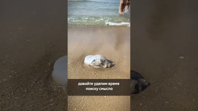 Найти смысл #духовноеразвитие #смысл #смыслжизни #зачем