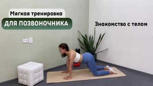 Мягкая тренировка для позвоночника, с акцентом на расслабление поясницы