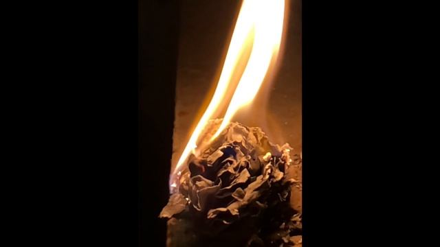 iPhoneX video. Slo-mo (240fps). Video 4K 60fps. Video footage смотреть онлайн