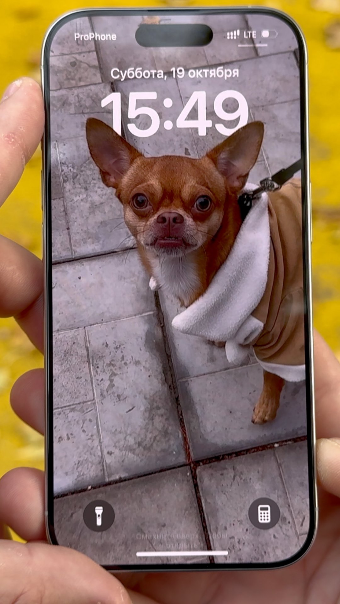 Обзор - Сравнение iPhone 16 Pro vs iPhone 15 Pro и 14 Pro #shorts