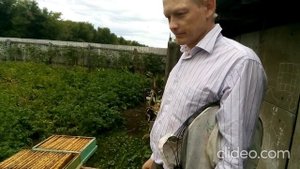 Обсушка сот рамок после откачки меда