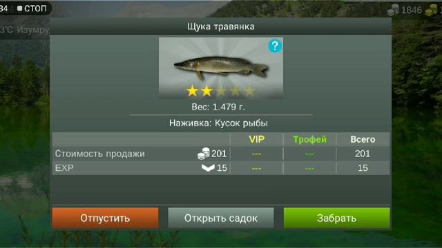 Рыбалка