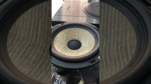 Set âm thanh focal : PS 165 FXE + PC 165