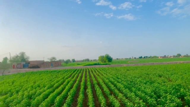 vlogs with ronak | vlog lofi background music | 4k video record iphone 15 pro max 4k смотреть онлайн