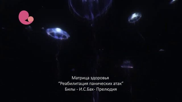 Матрица Гаряева: Реабилитация/деактивация панических атак. матрица здоровья #гаряев #матрицагаряева