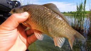 давай с ходу