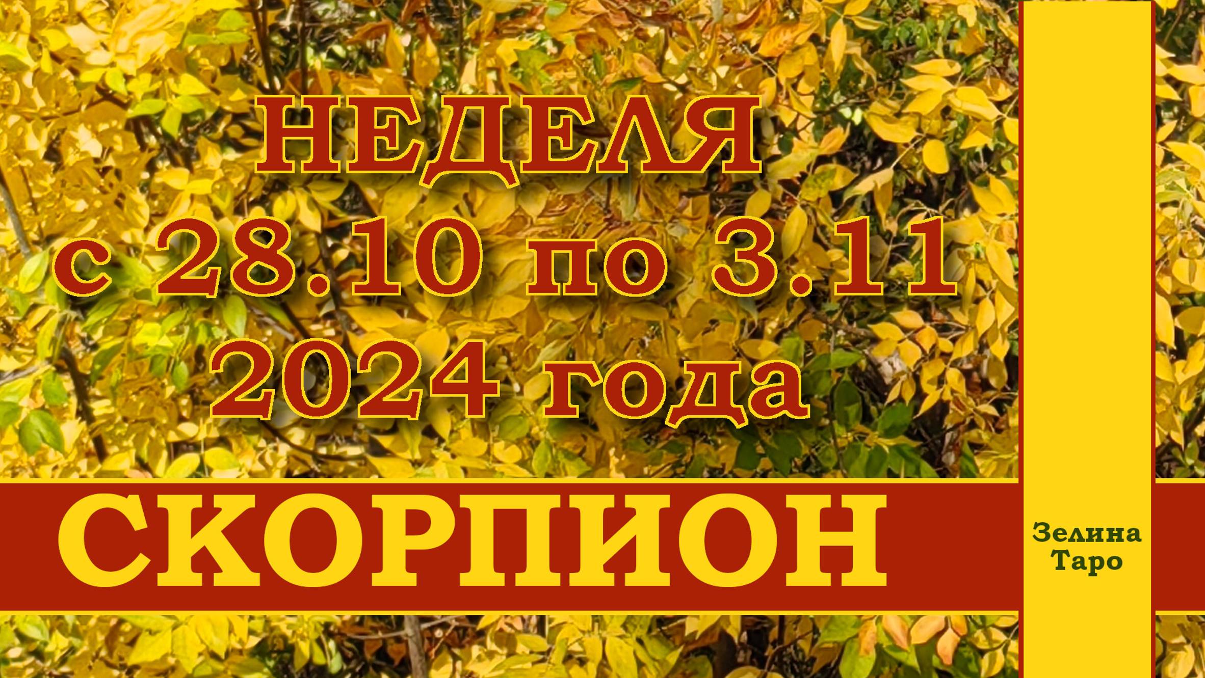 СКОРПИОН | ТАРО прогноз на неделю с 28 октября по 3 ноября 2024 года